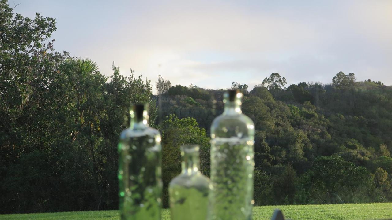 Kaka Lodge At Kotare House Tawharanui Buitenkant foto