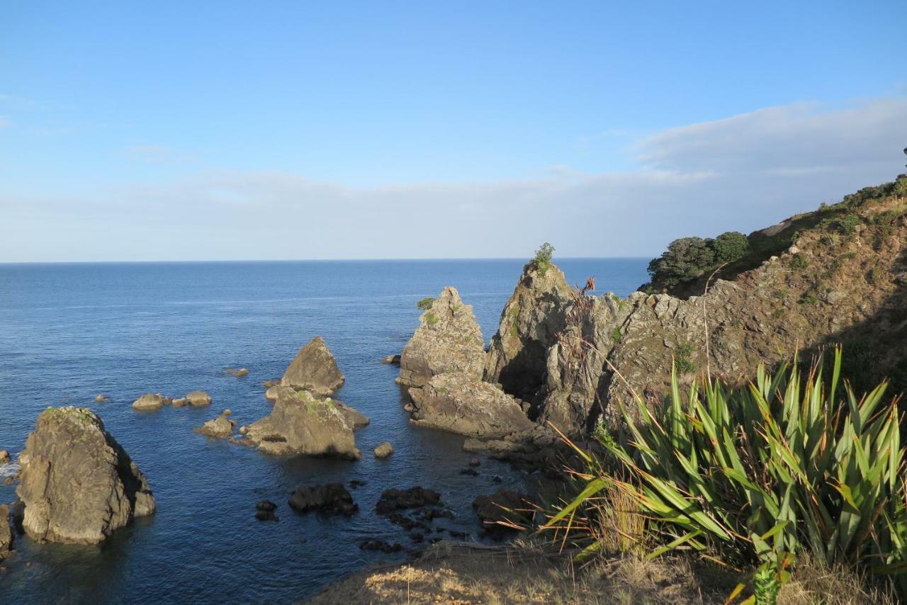 Kaka Lodge At Kotare House Tawharanui Buitenkant foto